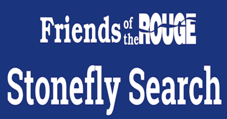 Stonefly2