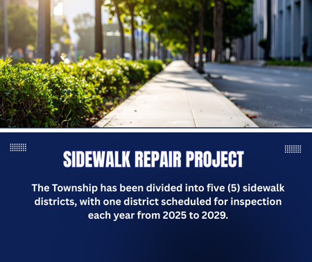 Sidewalk Repair Project